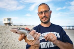 Professor Keith Dunton holding a shark on the beach
