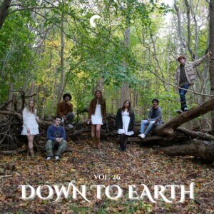 Blue Hawk Records Vol. 26: Down to Earth cover art