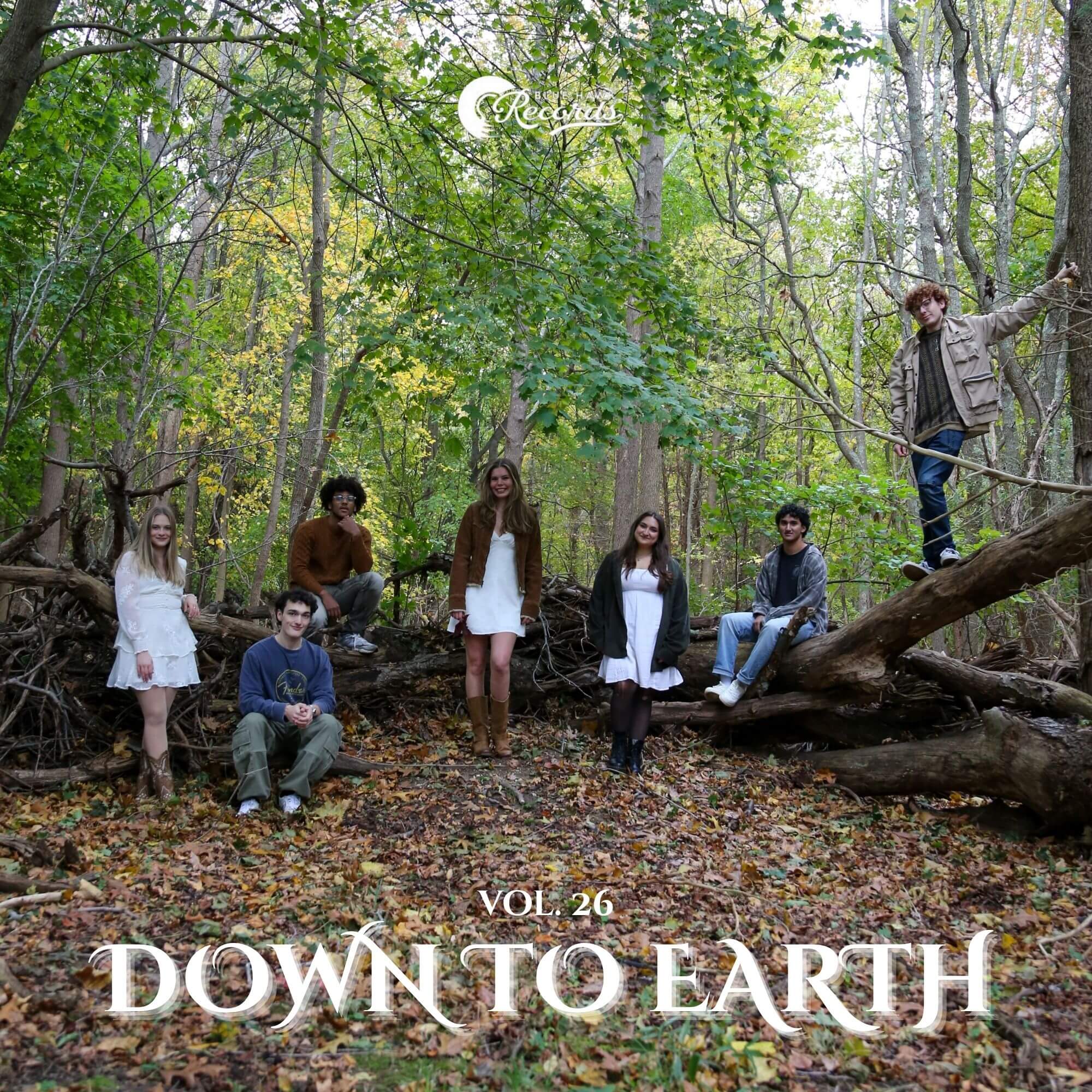 Blue Hawk Records Vol. 26: Down to Earth cover art