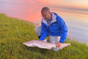Prof. Keith Dunton holding baby shark in bay area