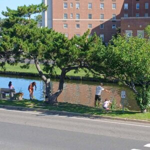 In the distance, people stand at the edge of lake, with residential building in the background