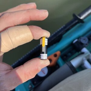 Close up view of fingers holding a tracking device that will be inserted into a fish to help determine spawning patterns.