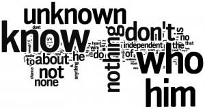 Image Shows Word Cloud from Voters for Chris Daggett