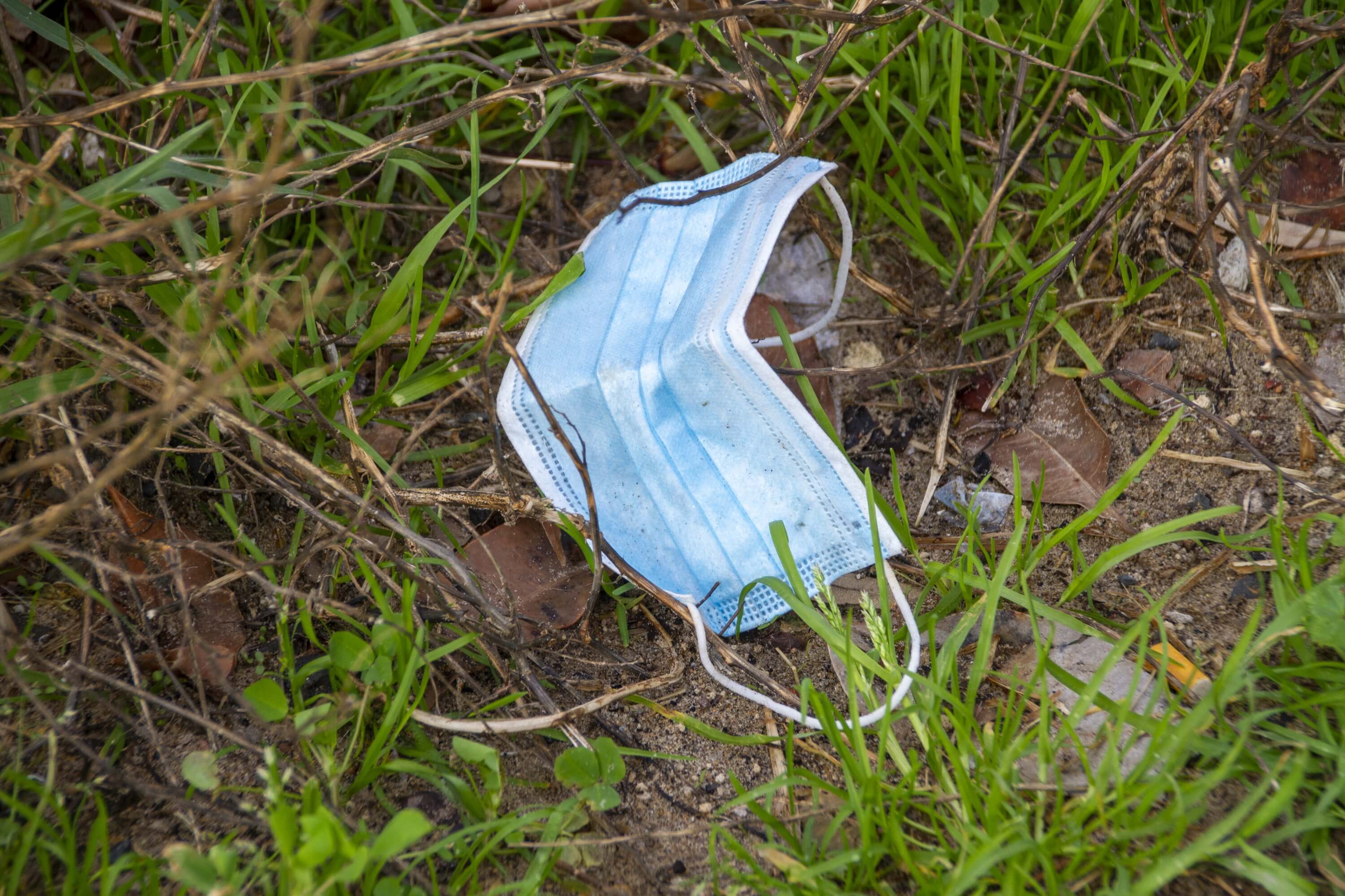 Image of disposable facemask on grass.
