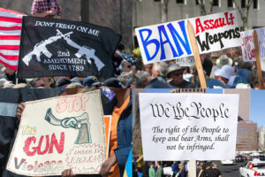 image of signs in support of, and against the right to bear arms