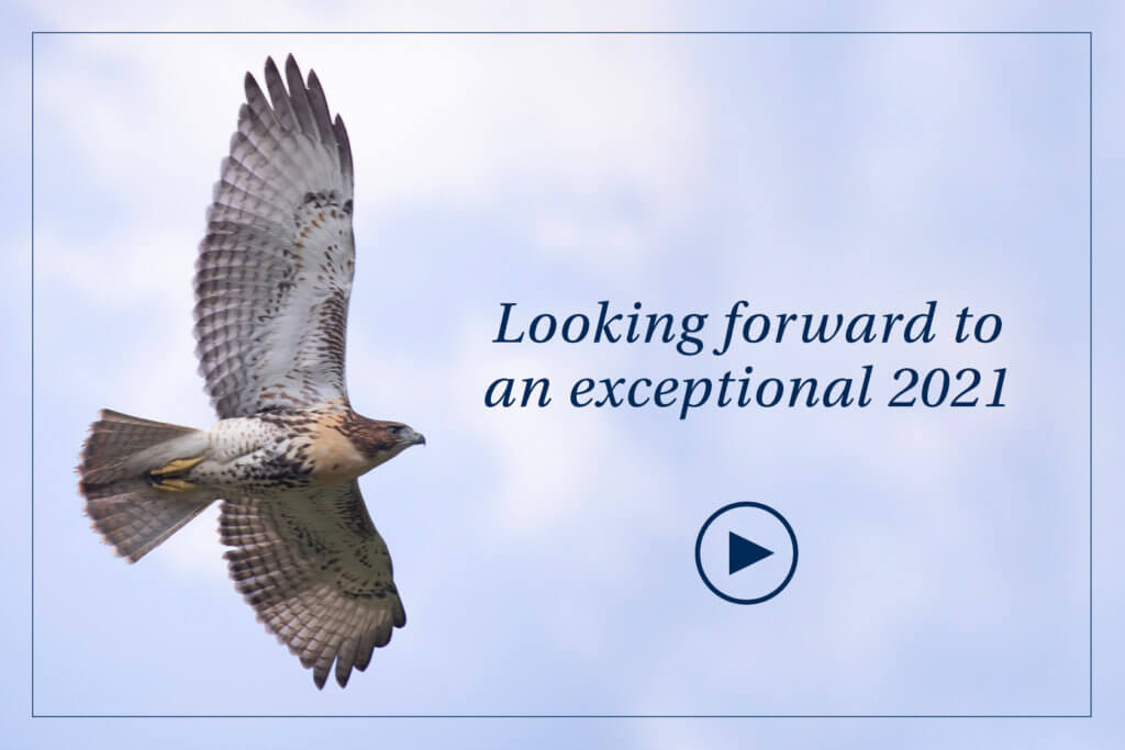 Hawk flying over a slightly cloudy sky near text reading "Looking forward to an exceptional 2021"