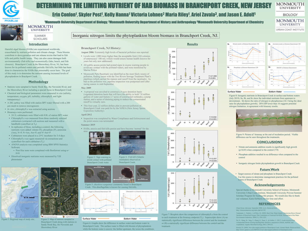 Photo of Monmouth University Scholarship Week 2020 Poster: Determining the Limiting Nutrient of HAB Biomass in Branchport Creek, New Jersey
