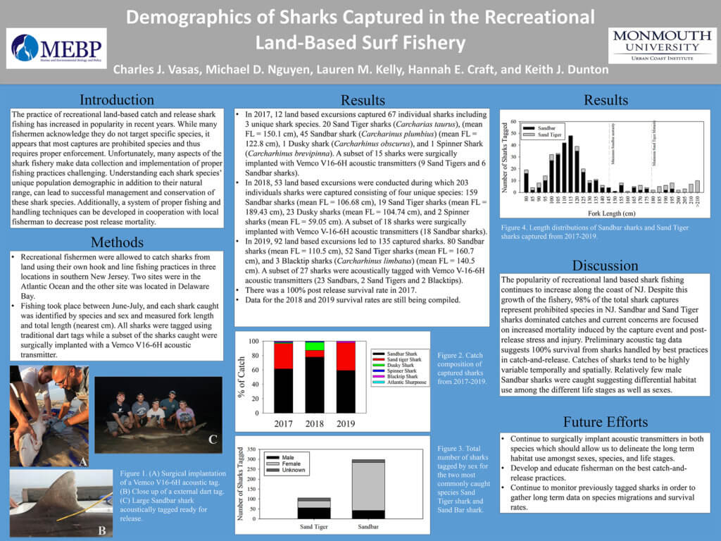 Monmouth University Scholarship Week 2020 Poster: Demographics of Sharks Captured in the Recreational Land-Based Surf Fishery