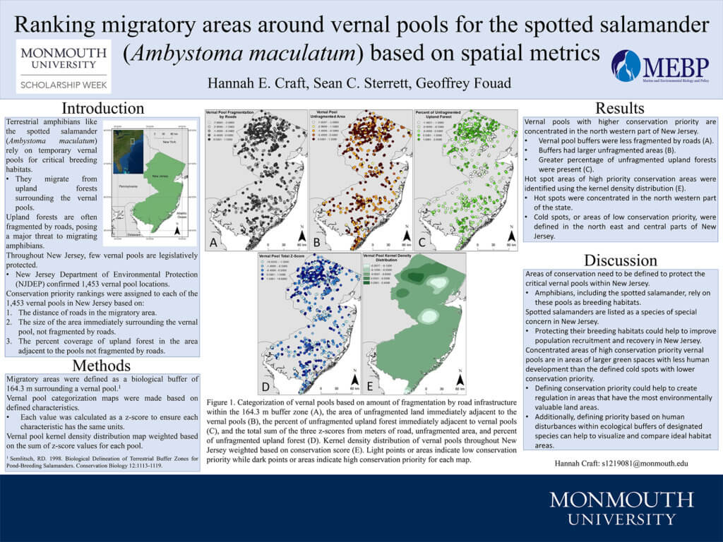 Poster Image: Ranking Migratory Areas Around Vernal Pools for Spotted Salamander (Ambystoma maculatum) Based on Spatial Metrics by Hannah Craft