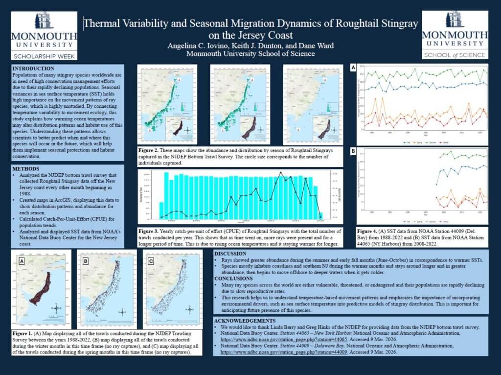 Angelina Iovino 2026 SSW poster