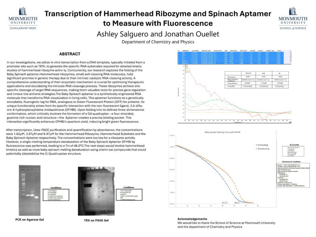 Ashley Salguero 2026 SSW poster