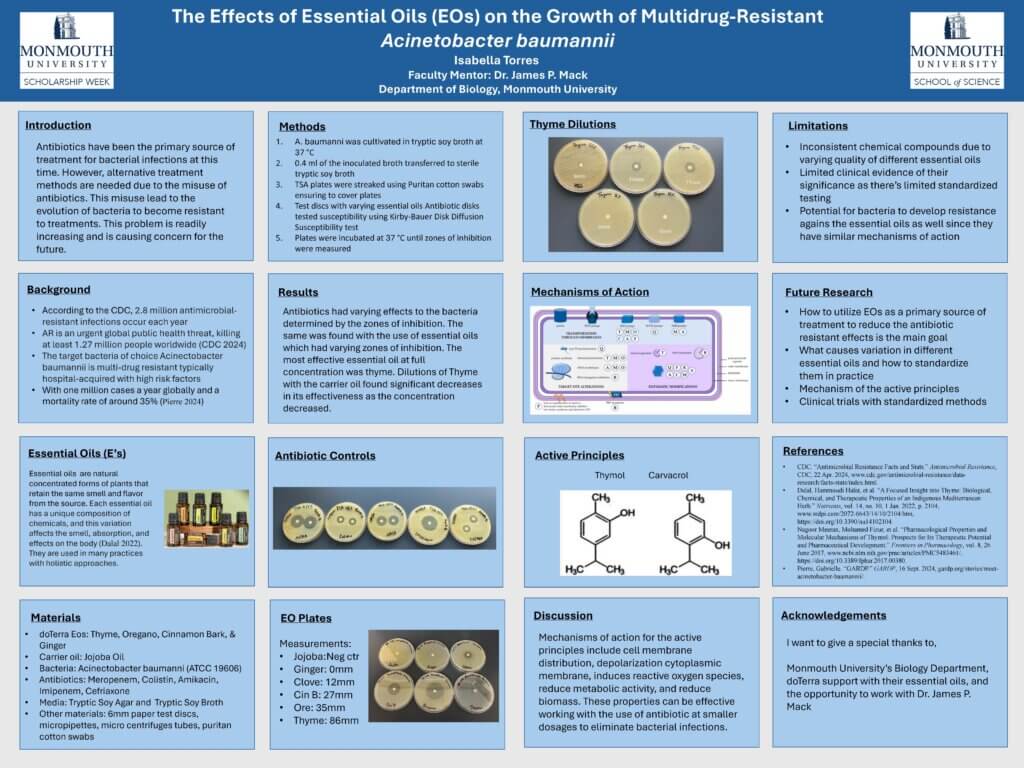 Isabella Torres 2026 SSW poster