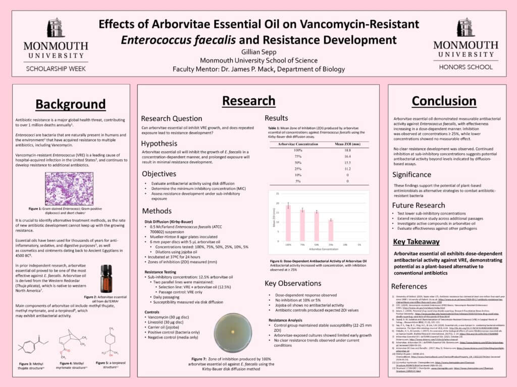 Gillian Sepp 2026 SSW poster