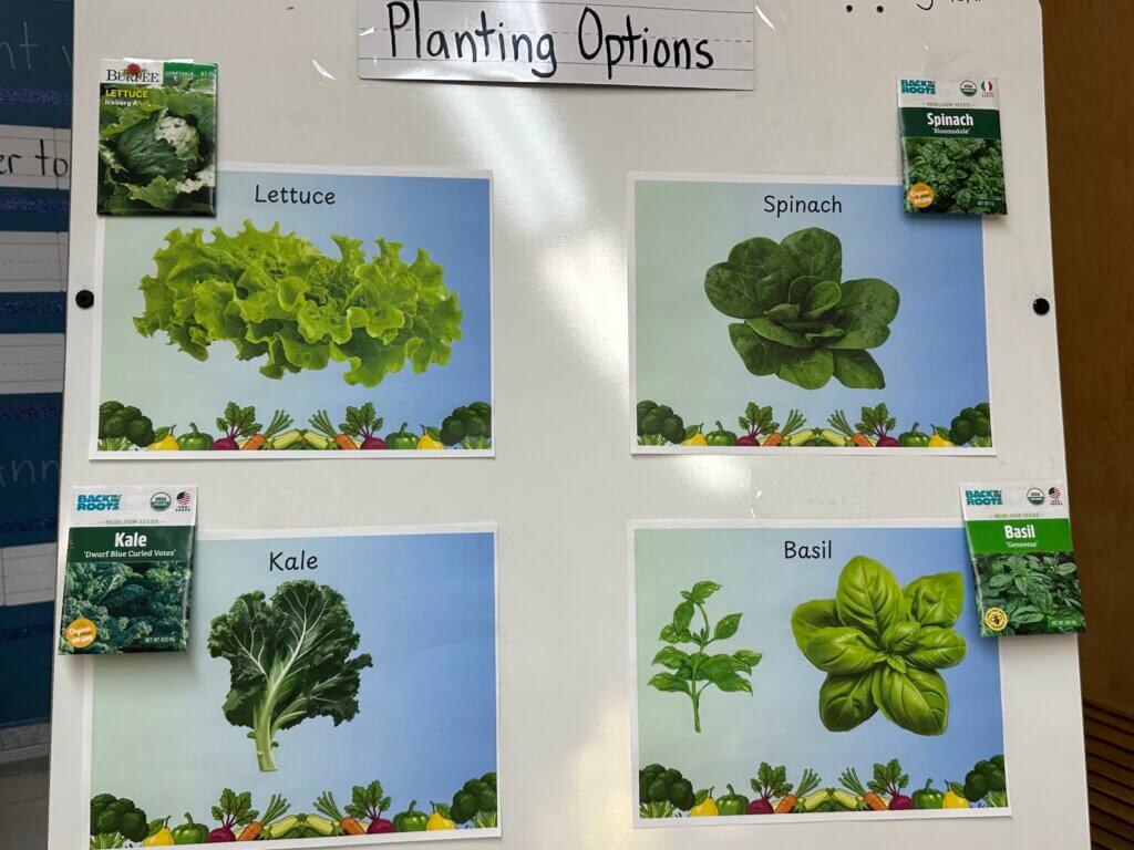 A poster demonstrating different options for planting.
