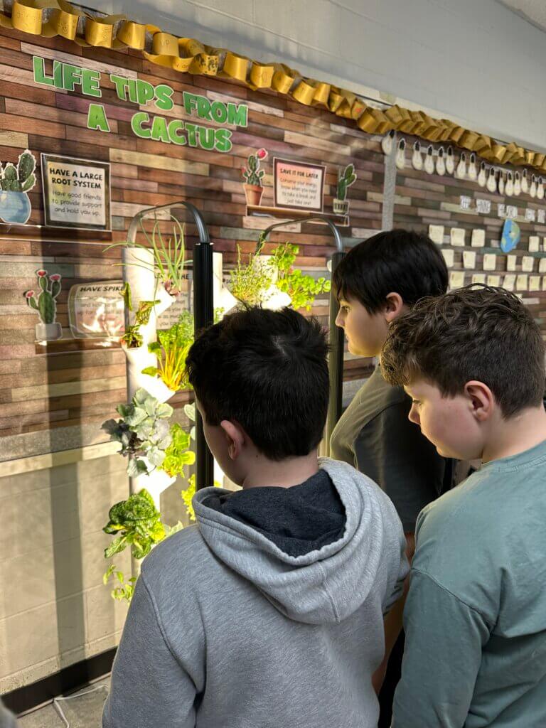 Students learning about cactus' from an interactive display.