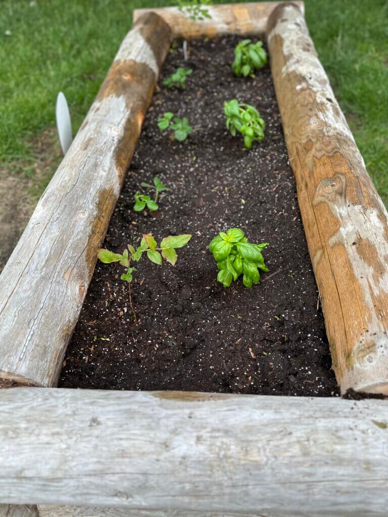 A log planter with plants growing.