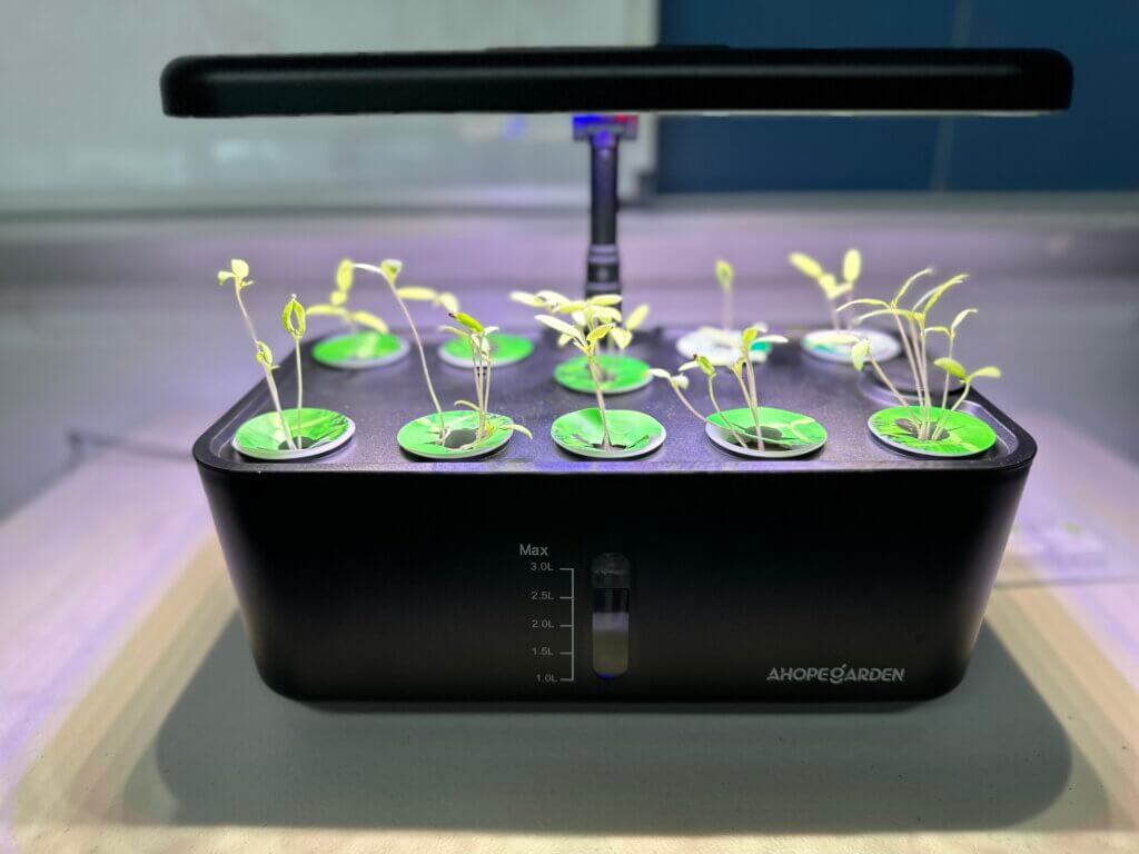 A hydroponics kit.