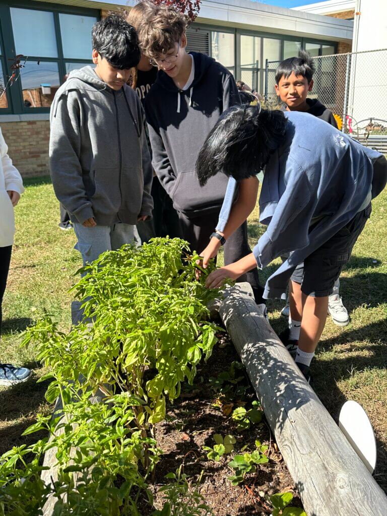 Students gardening.