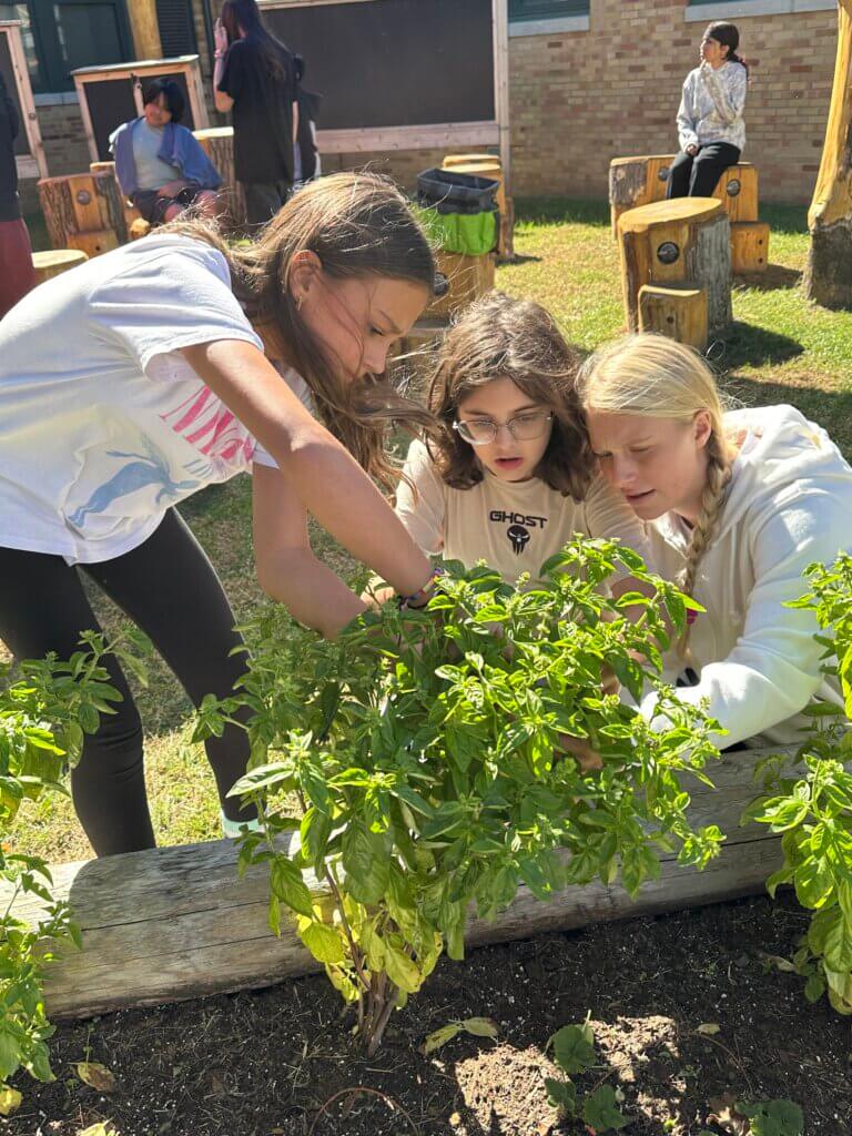 Students tending to a plant outside.