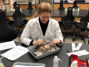 Photo of MU Alum Josette Hutcheson conducting analysis in the laboratory