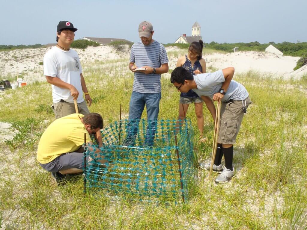 A group of students working on data collection with a faculty member in dune grass.