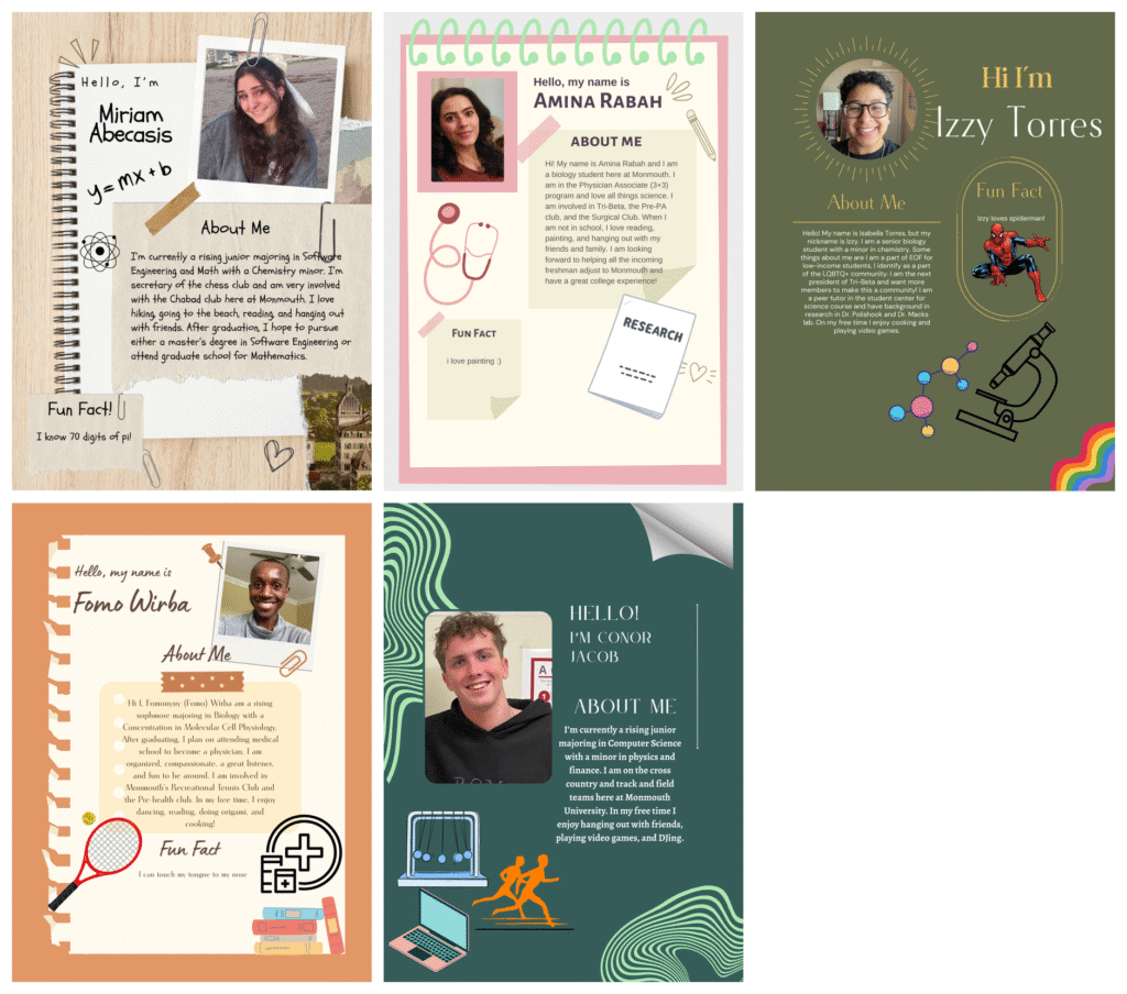 five posters for five peer mentors.