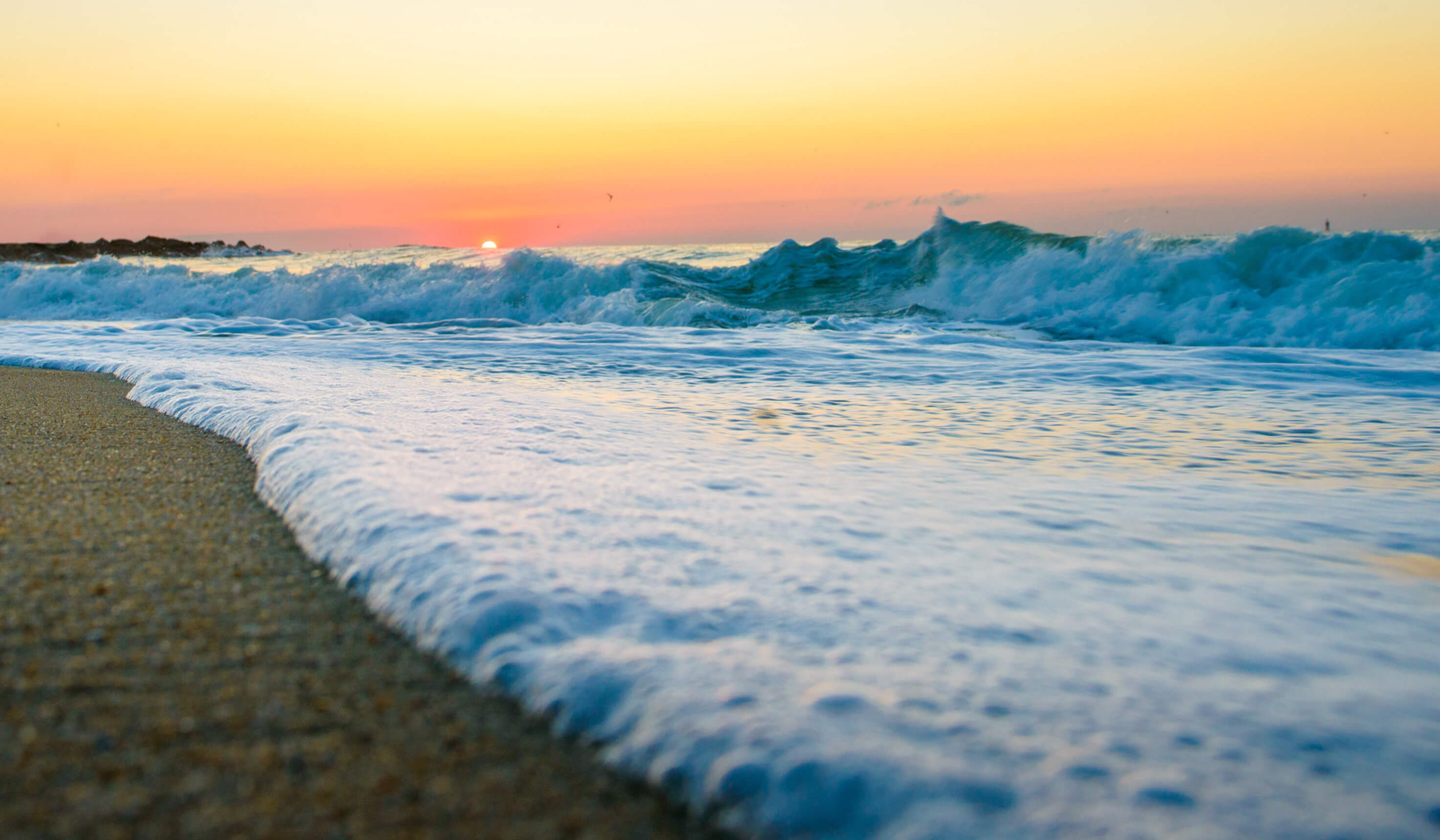 Summer Classes | Monmouth University