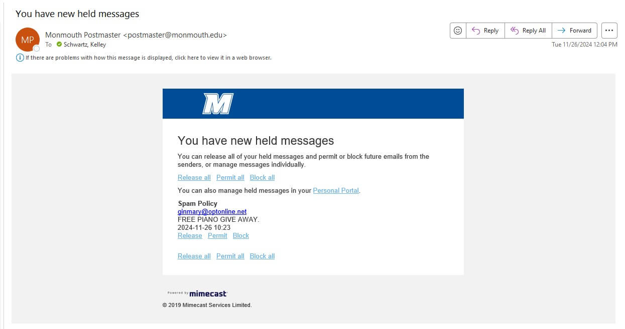 Screenshot of email that says you have new held messages