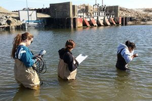 Photo of researchers wading in creek