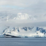 Click for larger image from Antarctica Photo 2