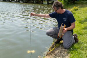 Water clarity test