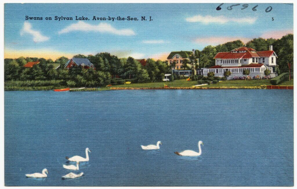 Sylvan Lake postcard