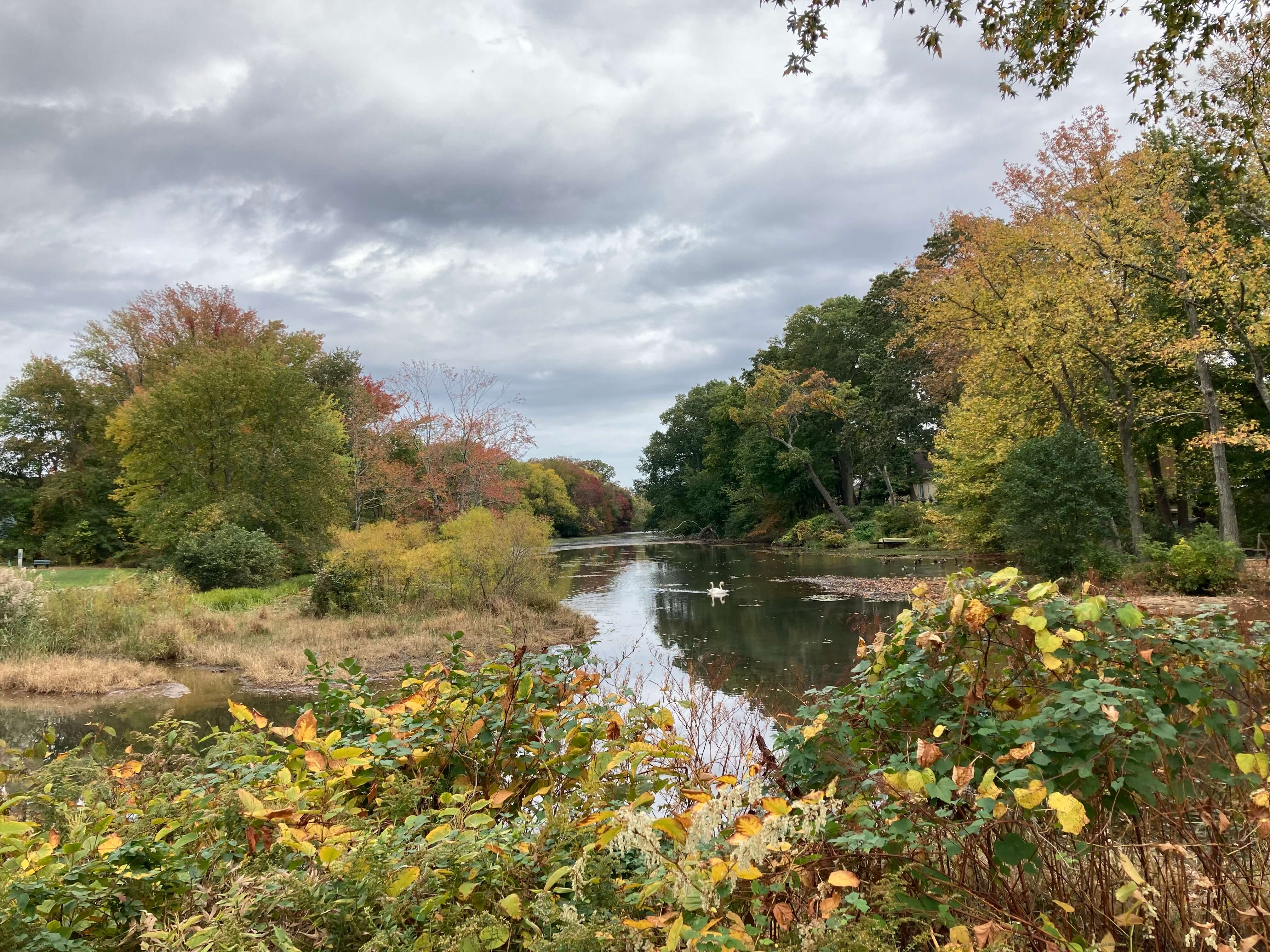 Study Deal Lake Caught in Seasonal Cycle of Harmful Algal Blooms Urban Coast Institute