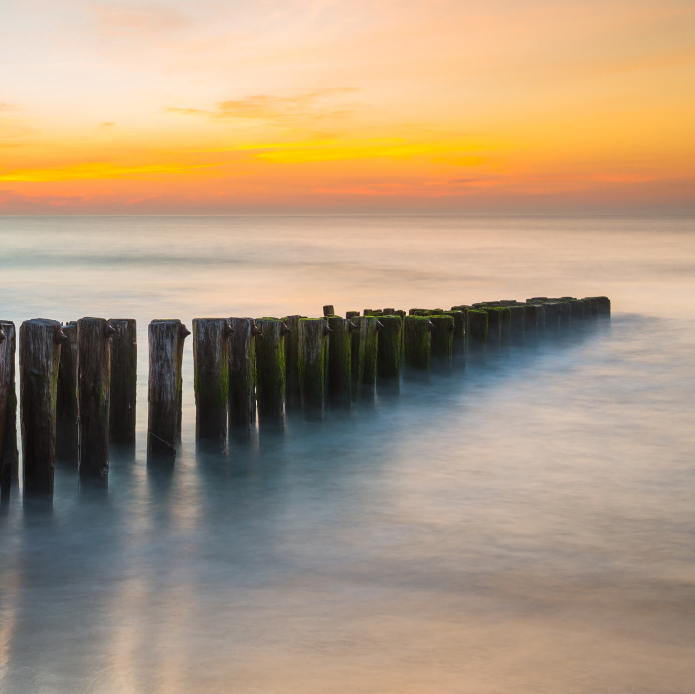 Wooden pilings on the shoreline at sunset.