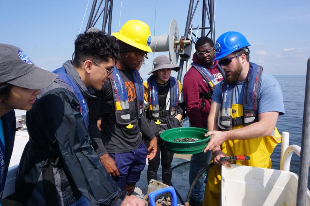 Students inspecting organisms living in the bay's sediments. 