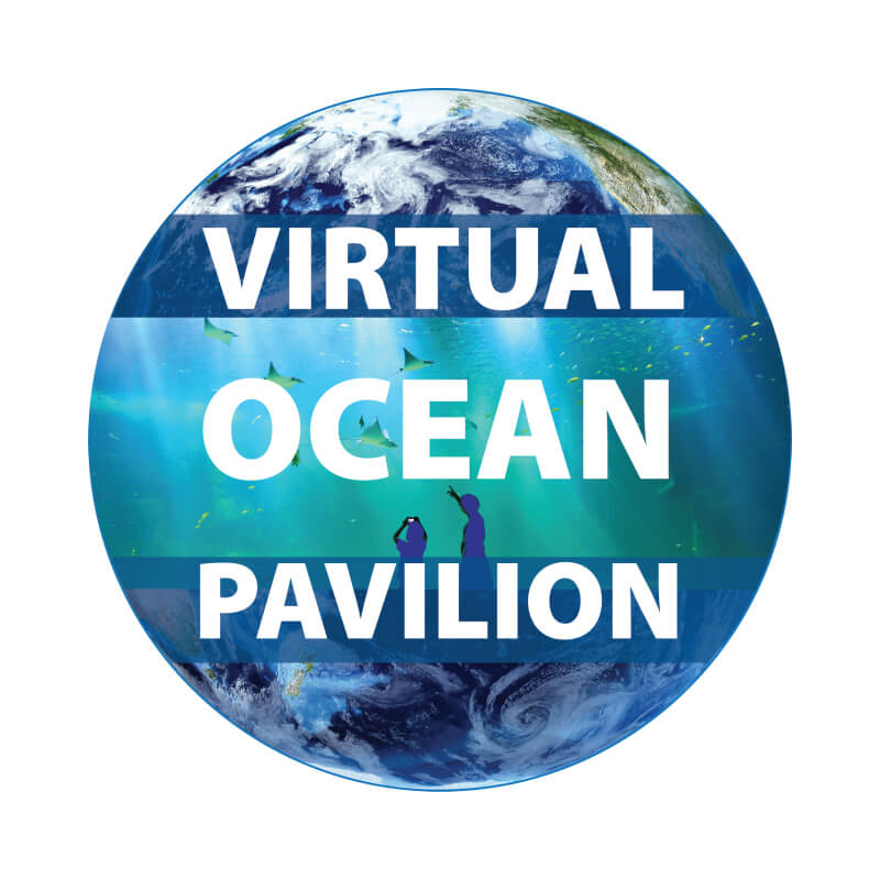 Virtual Ocean Pavilion logo