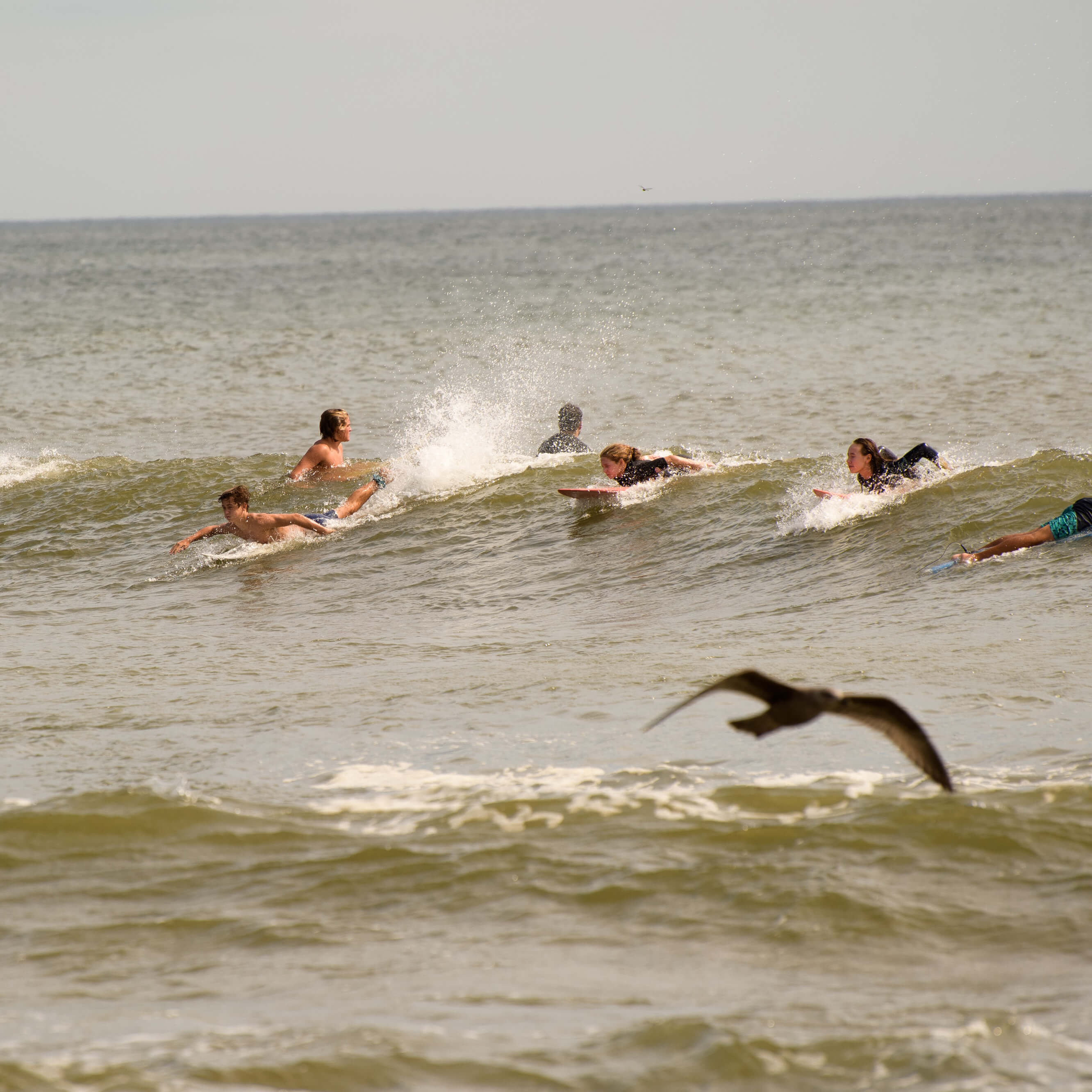 A group of young surfers paddling forward, trying to catch a wave.
