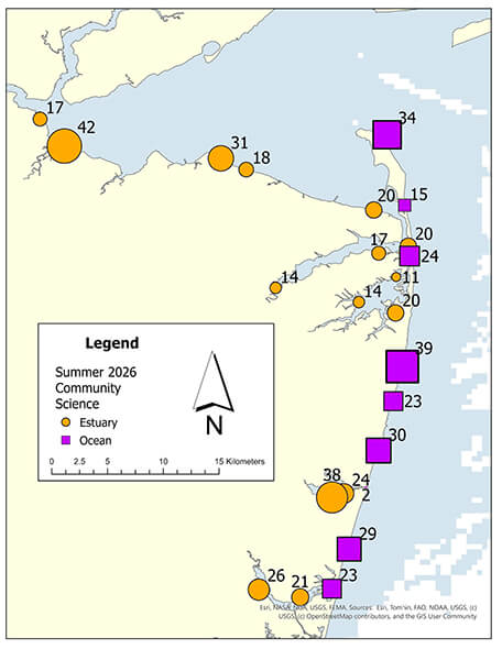 A map with numbered points indicating the numbers of fish detected in ocean sites (shown as squares) and estuary sites (shown as circles) along the New Jersey coast.