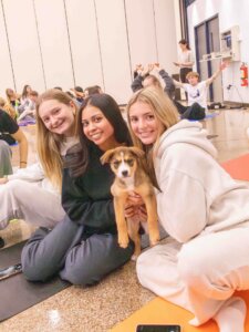 Finding balance, one downward dog at a time. Puppy yoga never disappoints. ๐งโโ๏ธ๐ถ๐