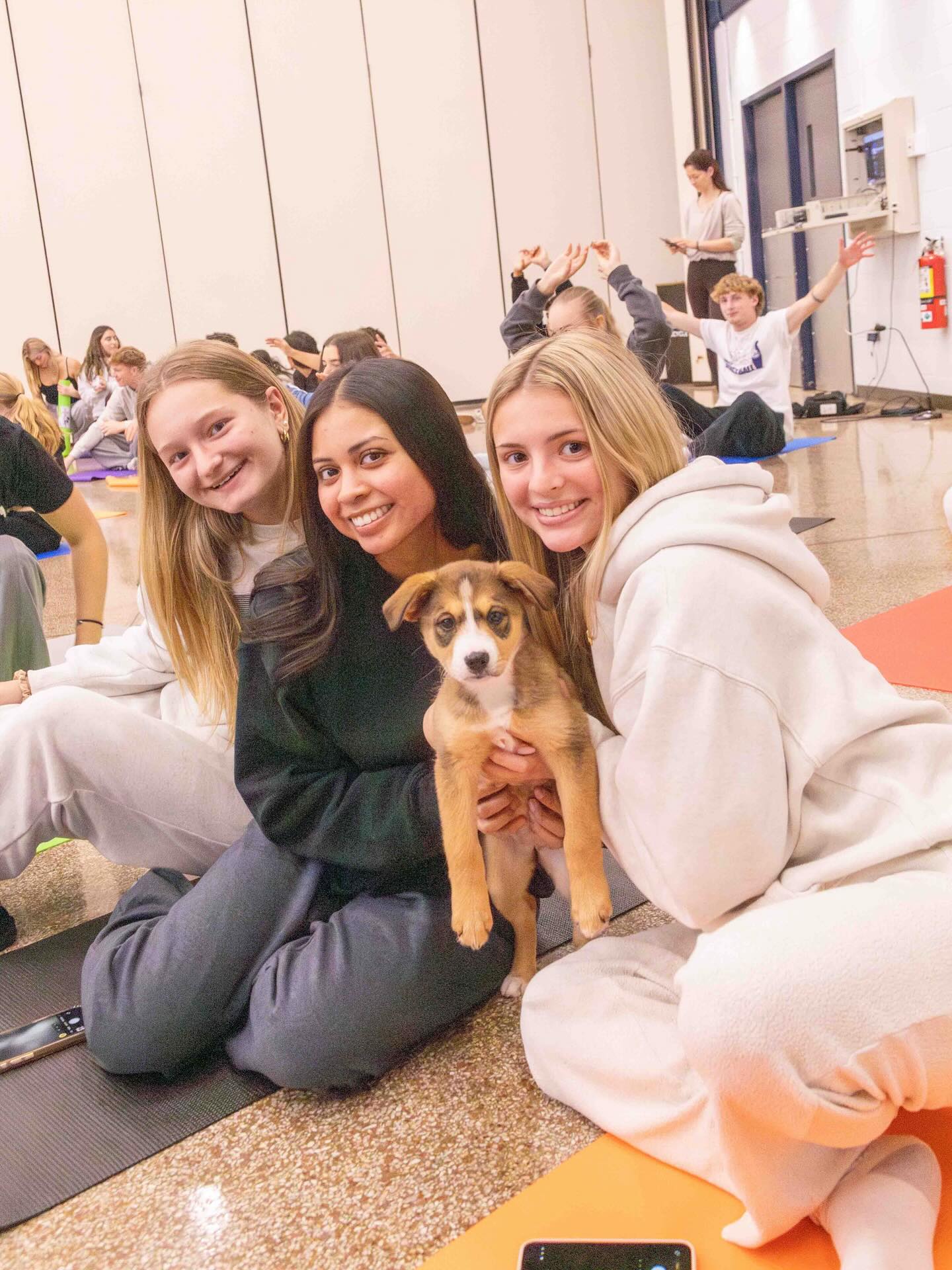 Finding balance, one downward dog at a time. Puppy yoga never disappoints. ๐งโโ๏ธ๐ถ๐