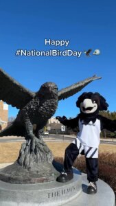 No bird does it better! Happy #NationalBirdDay from Shadow 🦅💙