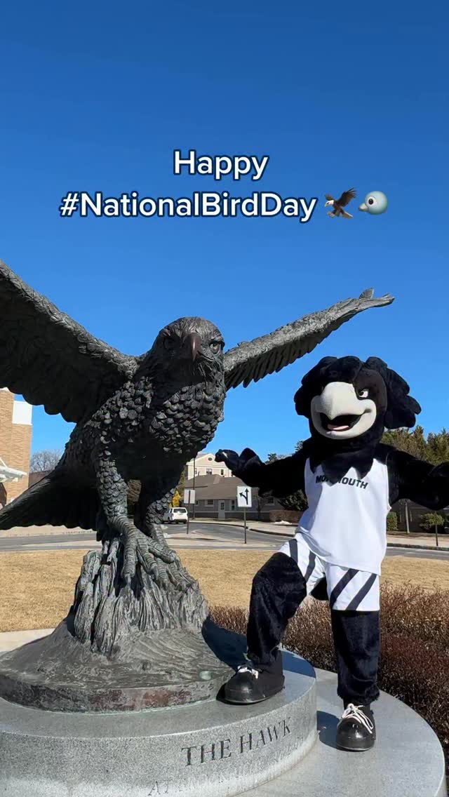 No bird does it better! Happy #NationalBirdDay from Shadow 🦅💙