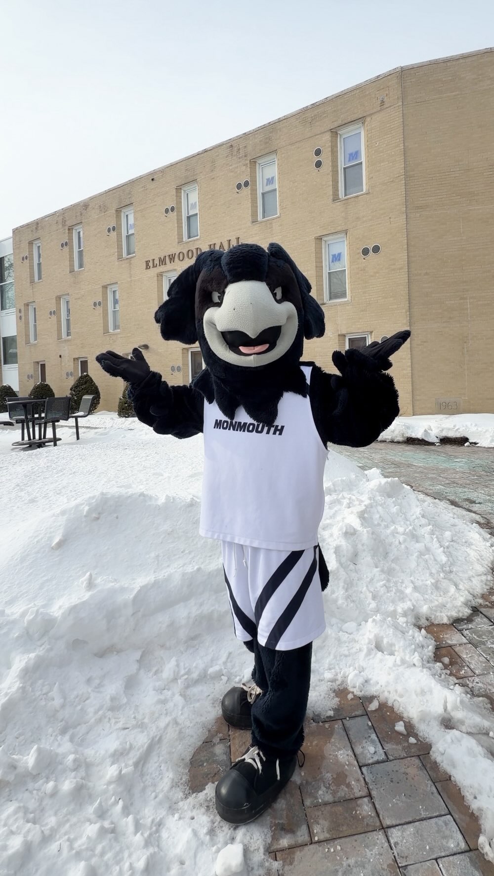 With no groundhogs on campus we had to call in our expert. Unfortunately @shadowthehawk spotted their [&hellip;]