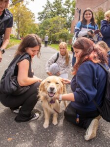 Every dog has its day. Especially at Monmouth. 🐾🎓 Happy National Puppy Day #HawkFamily 🐾🐶