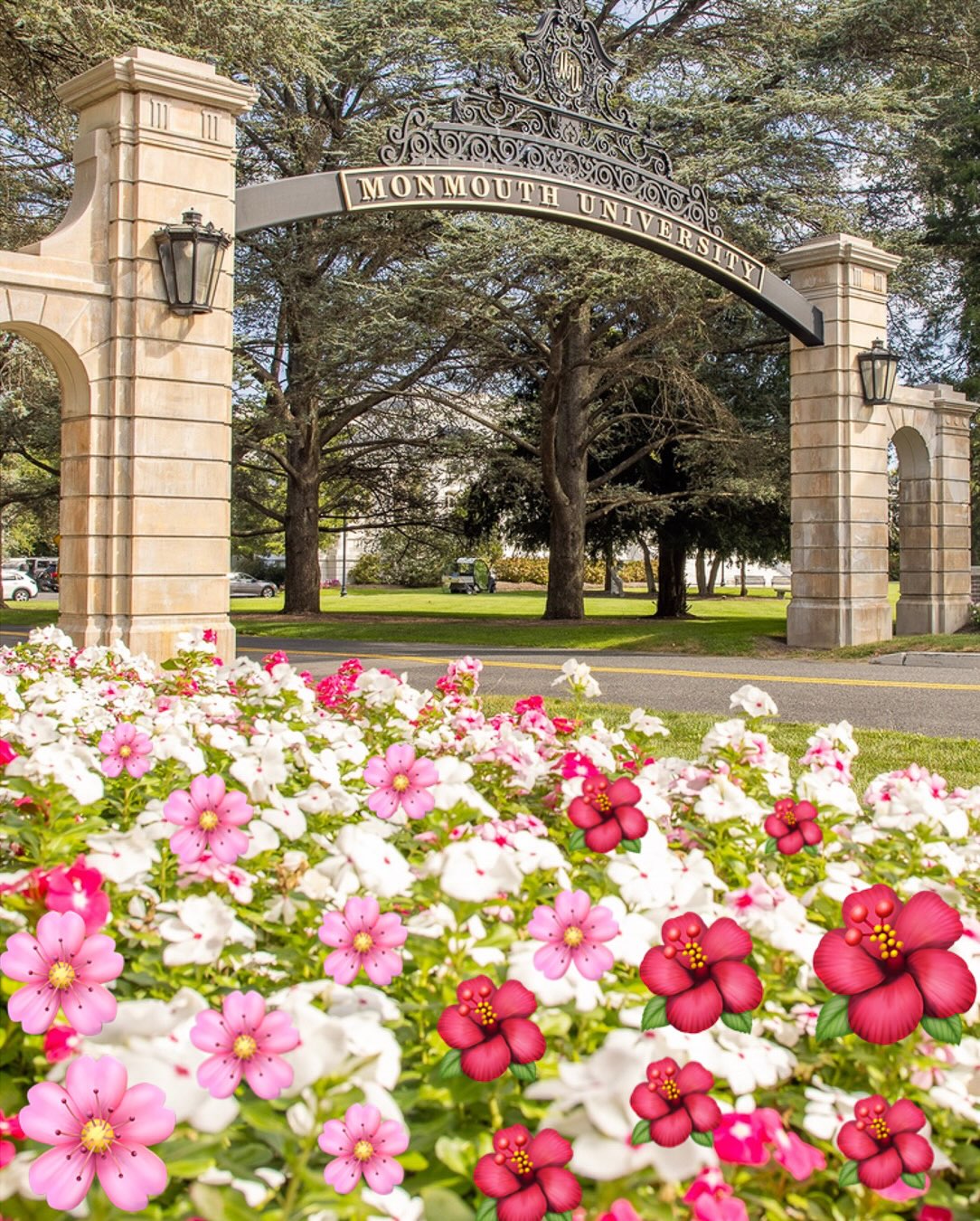 We put our own spin on campus for #WorldEmojiDay 🌸⛵🐾☀️🏈🏀 Happy Emoji Day, #HawkFamily [&hellip;]