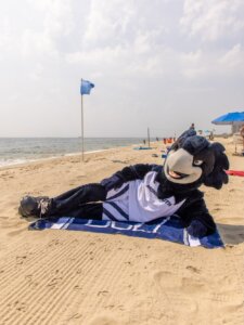 National Beach Day looks pretty good from here. 🌊💙 From surfing and fishing to beach cleanups and coastal research, our Hawks make the most of having the Jersey Shore right outside our door. 🏄‍♀️🎣🦅 Happy National Beach Day! 🌊 #NationalBeachDay #MonmouthU #HawksFlyTogether